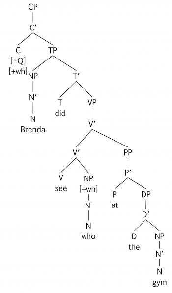 Wh Movement Essentials Of Linguistics