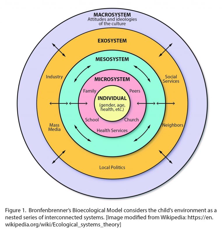 Developmental Psychology The Canadian Handbook For Careers In