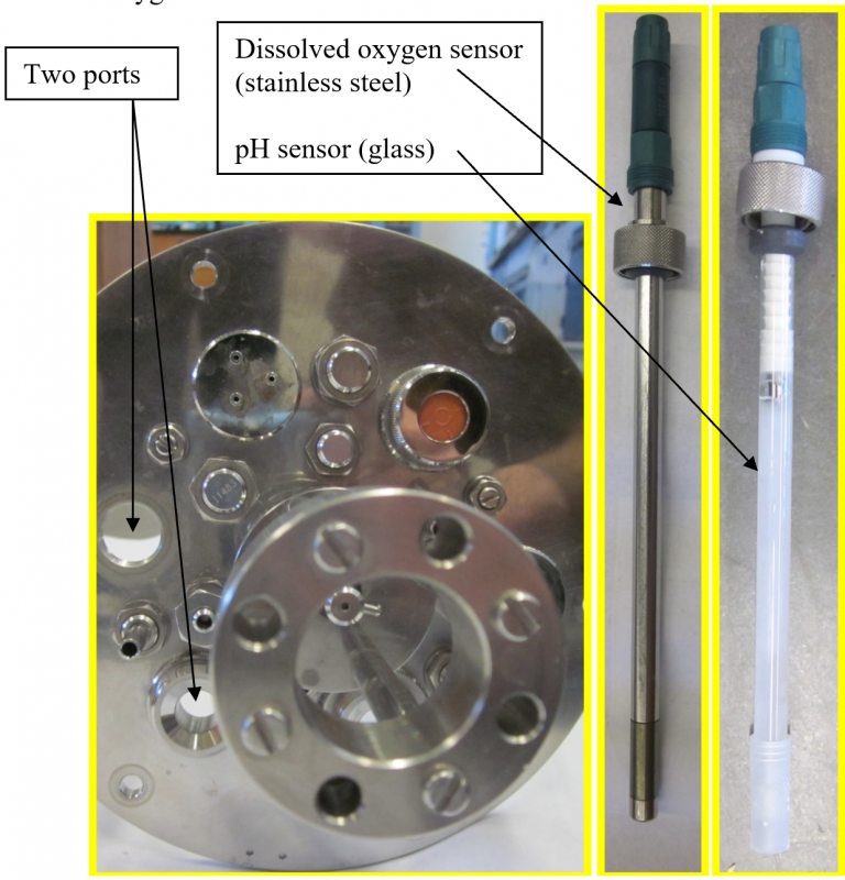 Experiment Bioreactor Instrumentation Proctech Ec Lab Manual