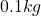 0.1 kg