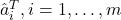 \hat{a}_i^T, i=1, \ldots, m