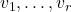 v_{1},\dots,v_{r}