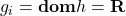 g_i=\mathbf{d o m} h=\mathbf{R}