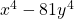 x^4-81y^4