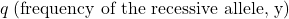 q\;\text{(frequency of the recessive allele, y)}