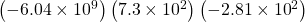  \left(-6.04\times{10}^{9}\right)\left(7.3\times{10}^{2}\right)\left(-2.81\times{10}^{2}\right)