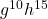  {g}^{10}{h}^{15}