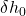 \delta h_0