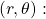 \,\left(r,\theta \right):