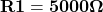 \mathbf{R1 = 5000 \Omega}