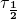 \mathbf{\tau_{\frac{1}{2}}}