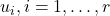 u_{i}, i=1,\dots,r