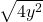  \sqrt{4{y}^{2}}