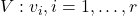 V: v_i, i=1, \ldots, r