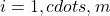 i = 1, cdots, m