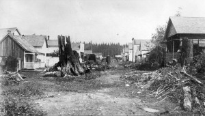 Black and white photo of a dirt lane with houses and remnants of burnt trees
