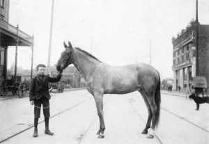 A boy and a horse