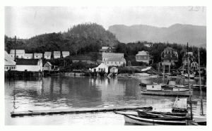 Photo of a body of water with several boats and houses along the shore