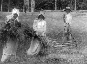 Photo of two women carrying harvested wheat while a man holds a grain cradle