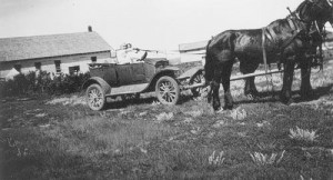 Photo of a "Bennett Buggy": a car being pulled by two horses