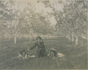 A woman and two girls in a field of fruit trees