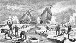 Art depicting men hunting seals