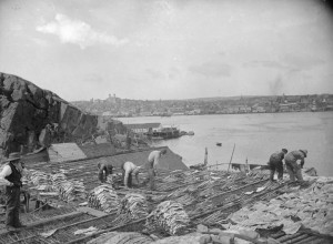 Black and white photo of men preparing cod near water