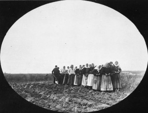 Photo of women pulling a plough through a field