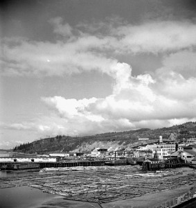 A waterfront town on the horizon