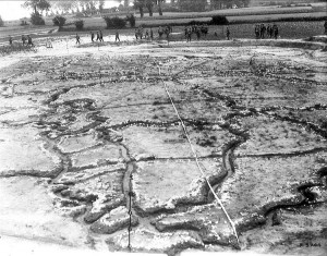 A model of trenches with the label "No Man's Land" in center