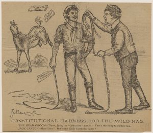 Political cartoon titled "Constitutional Harness for the Wild Nag."