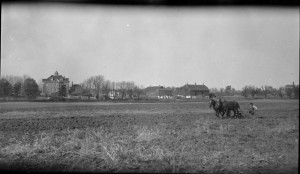 A person plowing a field