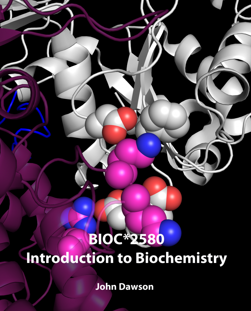 BIOC*2580: Introduction To Biochemistry – Simple Book Publishing