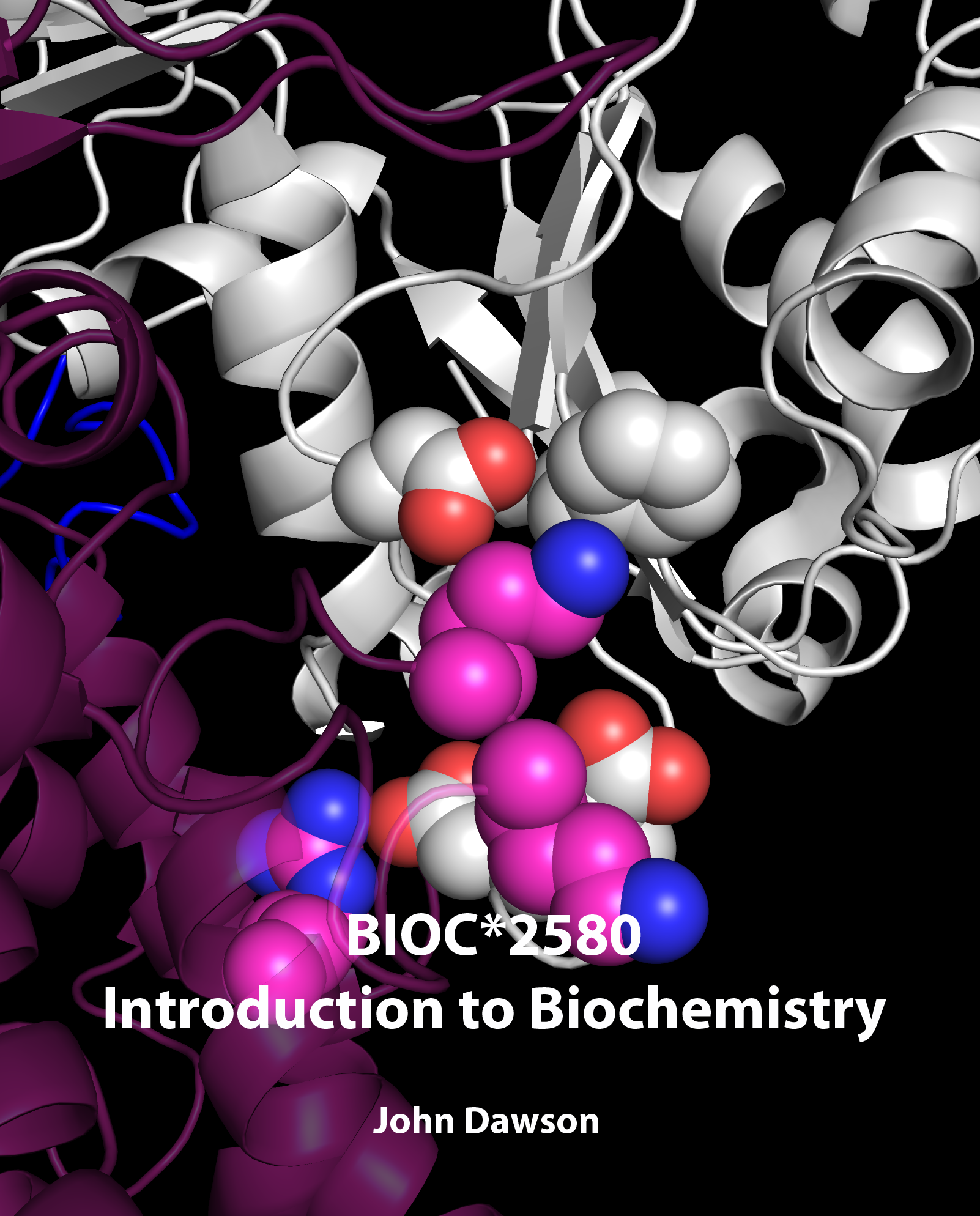 Cover image for BIOC*2580: Introduction to Biochemistry