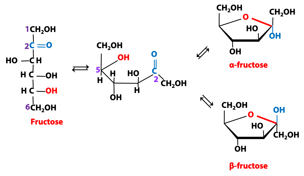 7.3: Cyclic Structures of Monosaccharides - Chemistry LibreTexts