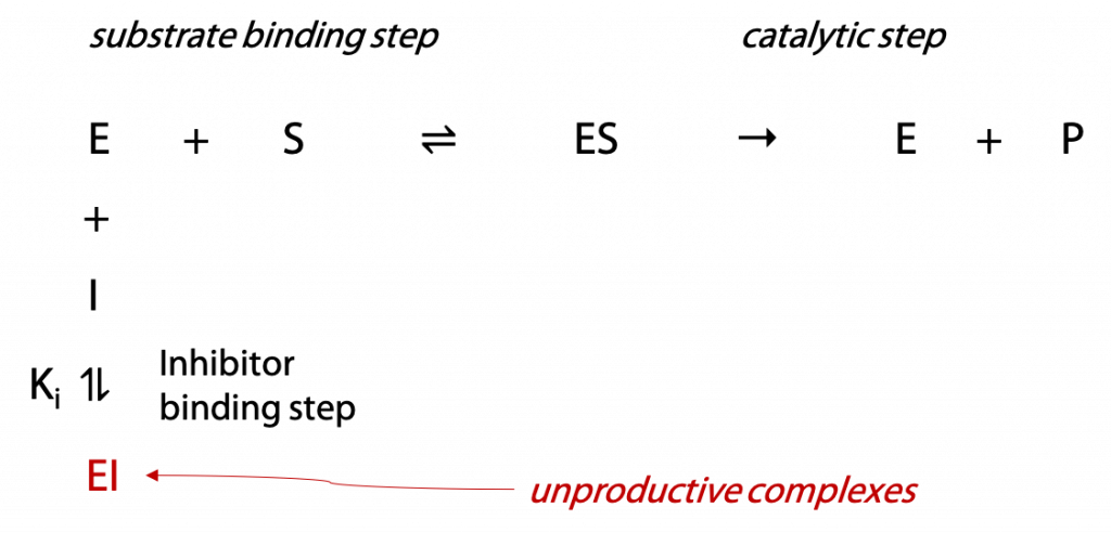 Experimental Enzyme Kinetics; Linear Plots And Enzyme Inhibition – BIOC ...