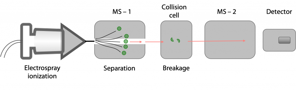 Determining The Amino Acid Sequence Of A Protein – BIOC*2580 ...