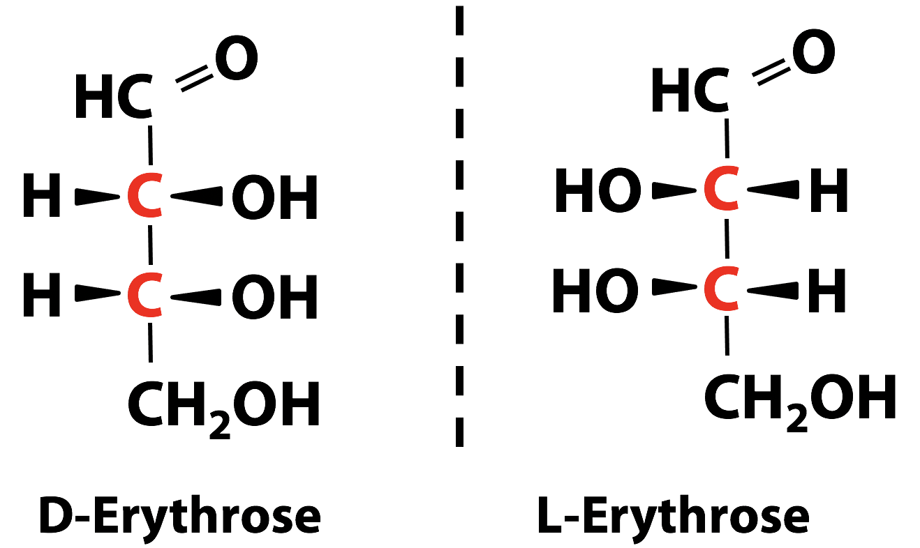 PPT - MONOSACCHARIDES Aldehydes (Aldoses) Ketones (Ketoses) PowerPoint  Presentation - ID:1937361