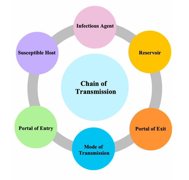 chain of transmission of infectious disease