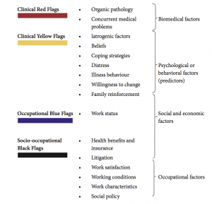 A chart grouping risk factors, designated as 1. biomedical factors, 2. psychological or behavioural factors (predictors), 3. social and economic factors, and 4. occupational factors, into clinical red flags, clinical yellow flags, occupational blue flags, and socio-occupational black flags. Clinical red flags are: organic pathology, concurrent medical problems (both biomedical factors). Clinical yellow flags are: Iatrogenic factors, beliefs, coping strategies, distress, illness behaviour, willingness to change, and family reinforcement (all psychological or behavioural factors). Occupational blue flag is: Work status (social and economic factor). Socio-occupational black flag: Health benefits and insurance, litigation (social and economic factors), and work satisfaction, working conditions, work characteristics, social policy (occupational factors)