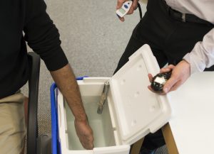 Seated patient with left hand submerged in water in a picnic cooler. A clinician is standing beside the cooler, holding an infrared skin thermometer in their right hand and a stopwatch in their left hand