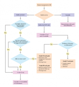 A flow chart detailing the patient's path on arrival at the emergency room. Findings from the initial examination guide the clinician with respect to imaging studies, which further guide, patient discharge, admission, and/or surgery