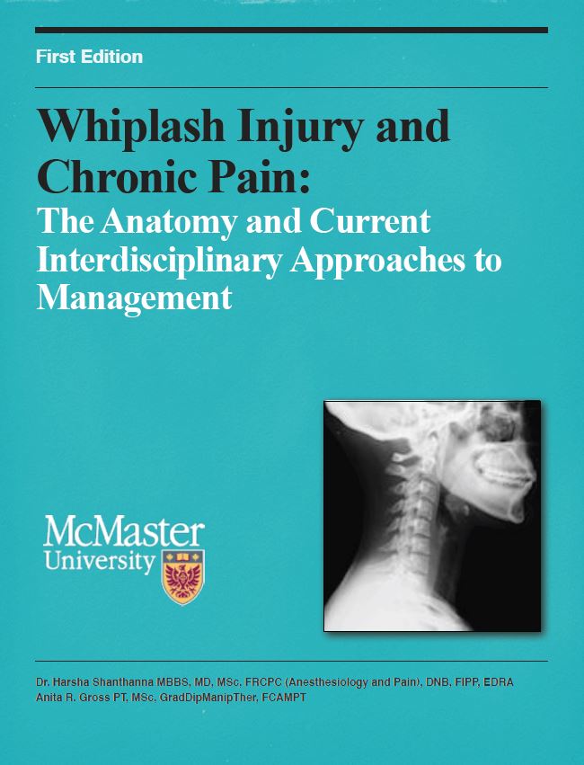 Cover image for Whiplash Injury and Chronic Pain: The Anatomy and Current Interdisciplinary Approaches to Management