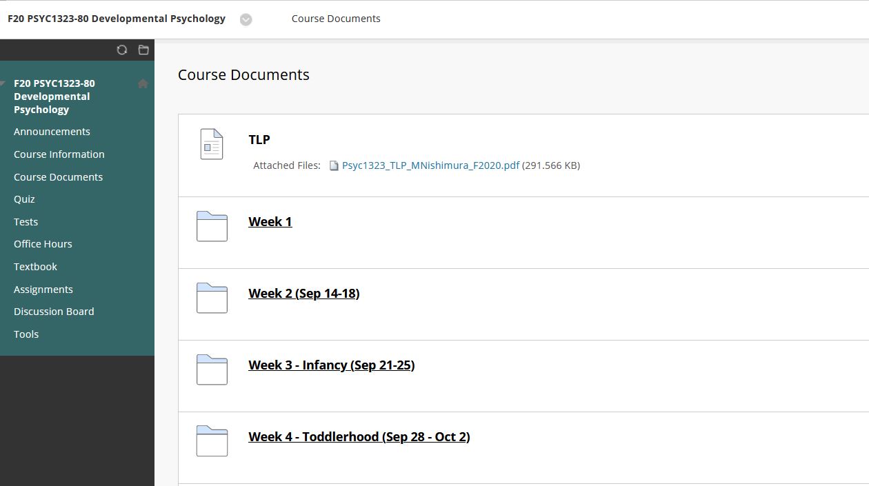 Screenshot of Blackboard Files and Folders