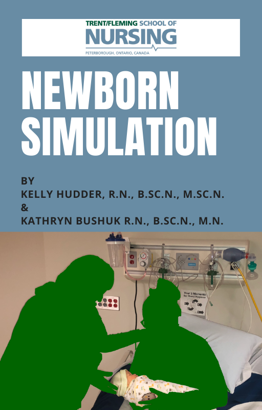 Cover image for Newborn Simulation
