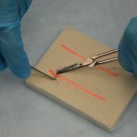 Hold scissors in dominant hand and forceps in non-dominant hand