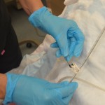 Secure the tube to the patient's gown with a safety pin