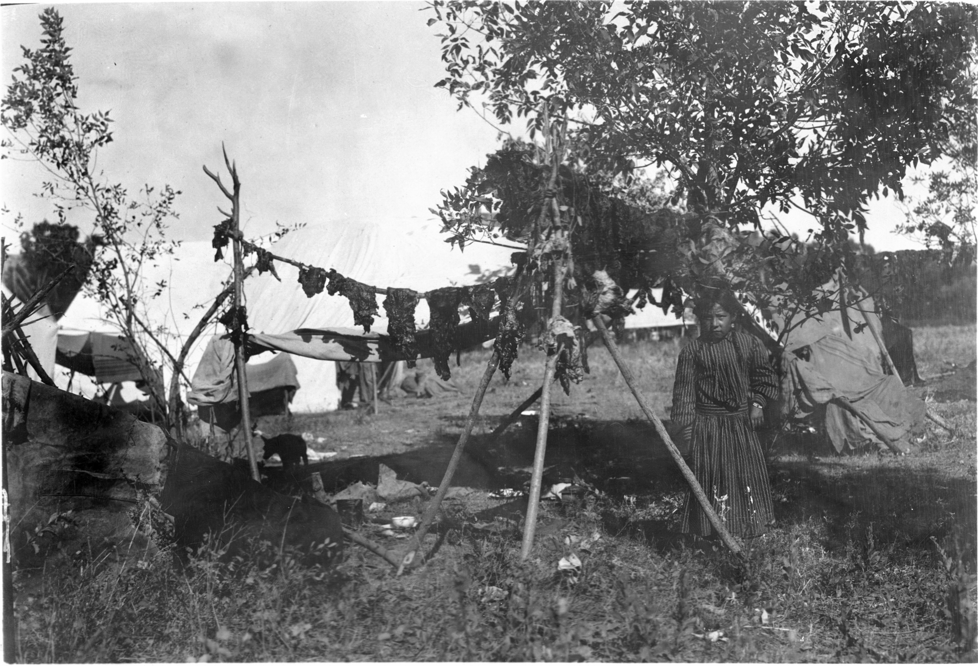 Crow Nation girl next to a pole of drying meat 1908.