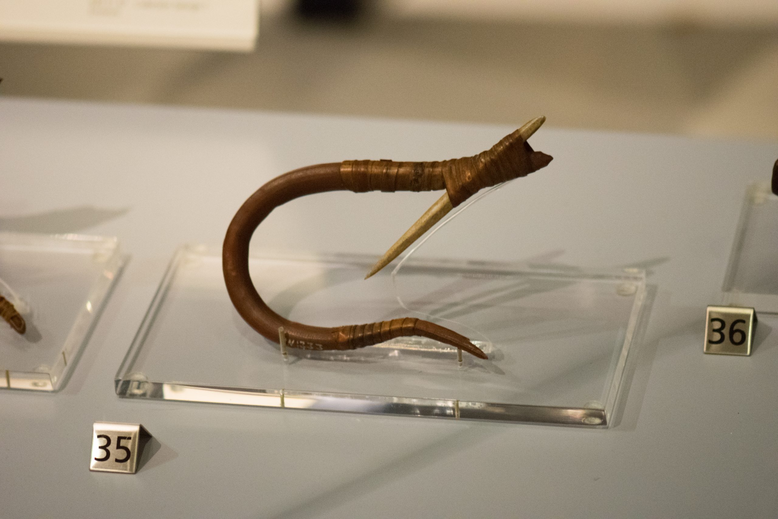 A 200 year old fishing hook made of bone and plant fibers by members of Haida First Nation. Photographer: Thomas Quine/Credits: Royal Ontario Museum, 2017