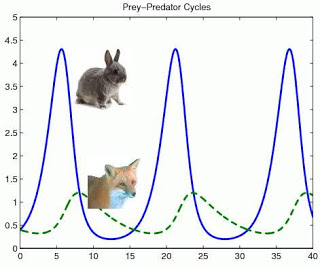 This graph has the number of animals on the vertical axis, and time on the horizontal axis.  There is a line representing the number of rabbits (prey) animals.  It gyrates up and down quite steeply.  There is another line representing the number of foxes (predators).  It gyrates up and down more gradually, with a lag behind the rabbits.  As the population of rabbits soars, the population of foxes grows.  The population of foxes does not begin to decline until the rabbits have declined significantly, and the population of foxes does not begin to grow until the rabbits' population is close to its peak level.